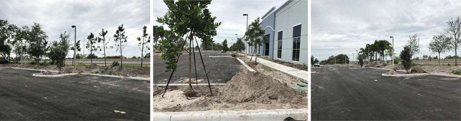 In progress landscaping installation in Weston, FL.