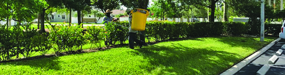 Fertilized grass and plants at retail store in Davie, FL.