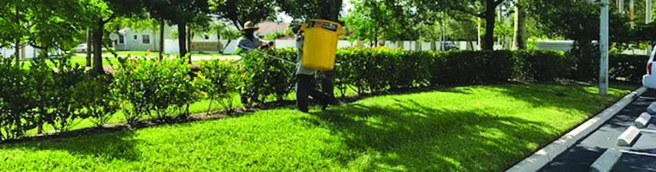 Fertilized grass and plants at retail store in Davie, FL.