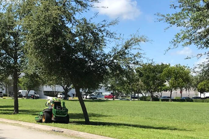 Business property in Davie, FL that has been fertilized.
