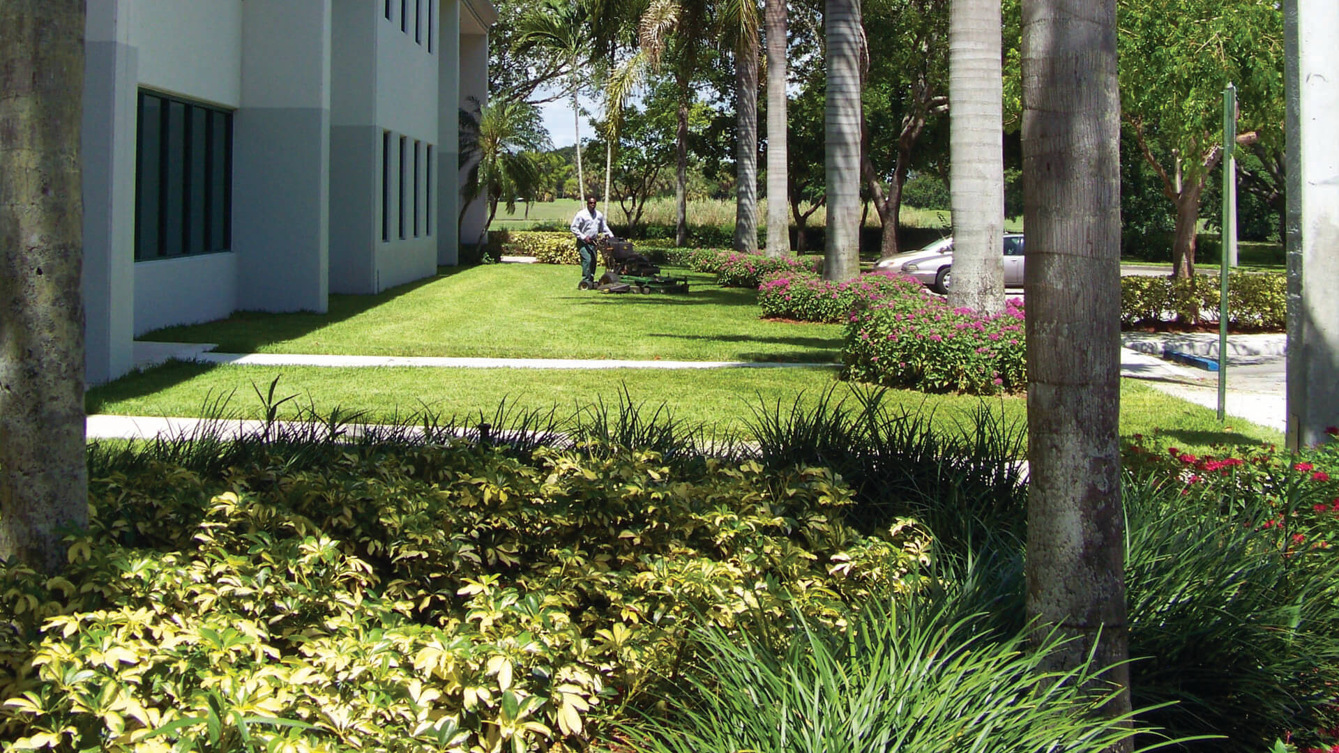 Grounds maintenance being performed for condo building in Davie, FL by BTS Land Services Corp.