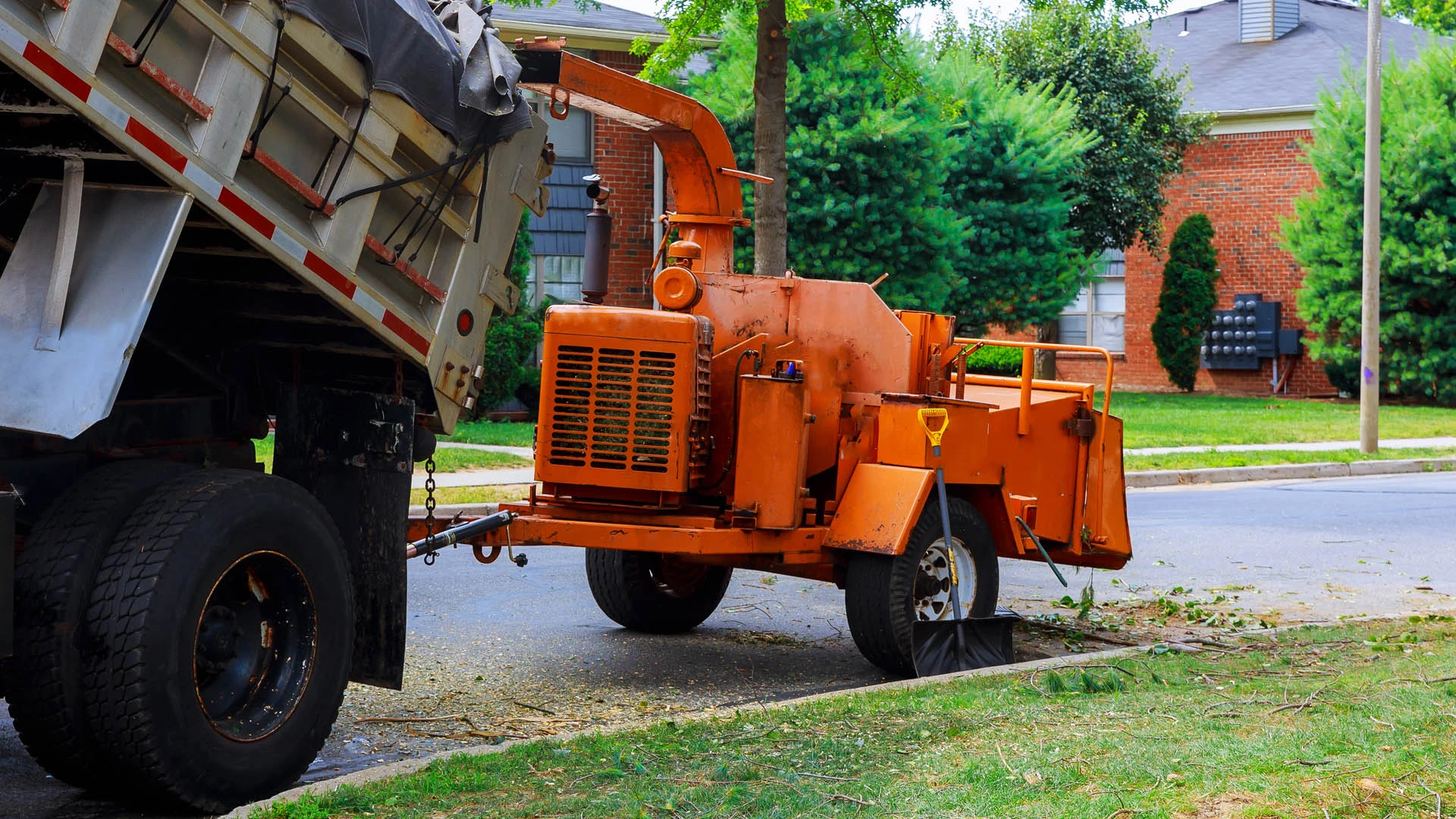 Wood chipper removing a tree in a large parking lot in Davie, FL.